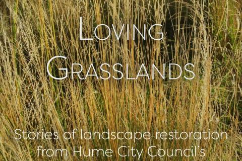 Loving Grasslands