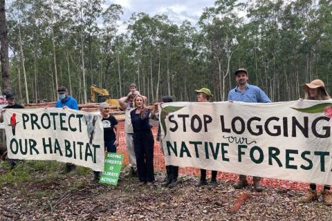 Save Bulga State Forest