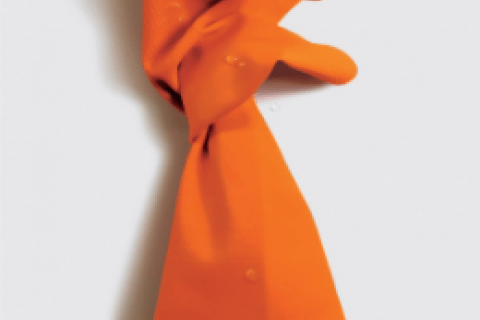 Sandra Pankhurst Interview The Trauma Cleaner