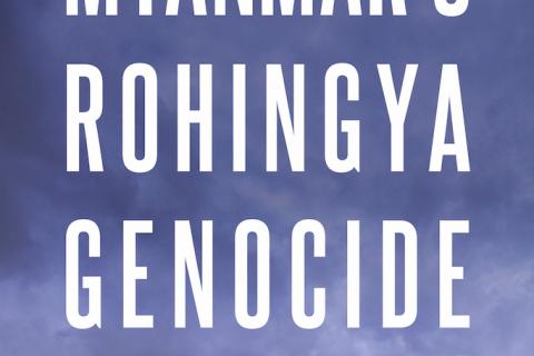 Myanmar's Rohingya Genocide photo courtesy Ronan Lee