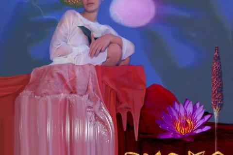 The album artwork for Plants Singing by Punko. A collage image featuring a picture of the artist, flowers, the night sky and the shadow of two hands