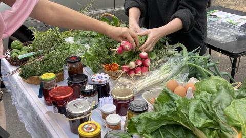 The gift economy - food swaps
