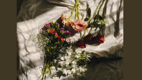 a top down image of flowers layed out
