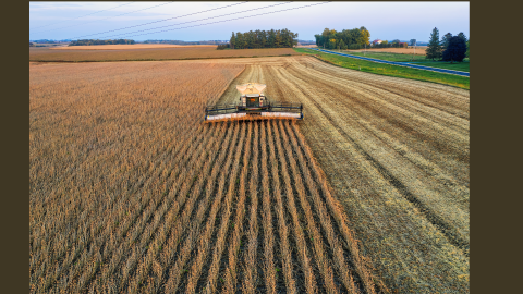 An image of a wheat farm being harvested