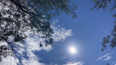 A holistic approach to embodied trauma - Chris