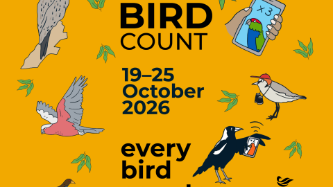 Aussie Bird Count