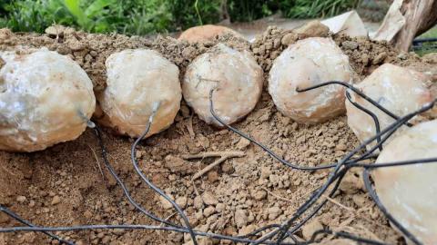 Artificial dinosaur eggs with electrodes (Credit: Su, C. et al / Frontiers)