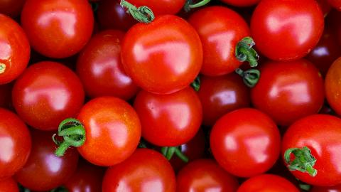 Tomatoes