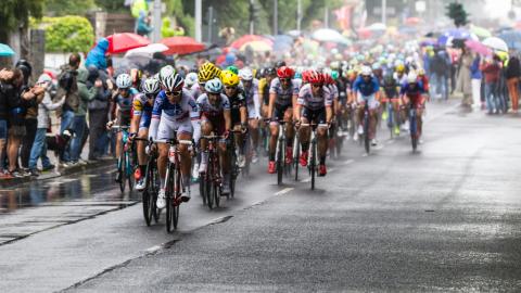 Cyclists in a peleton