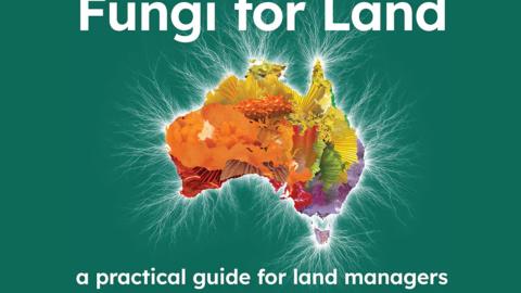 Book cover Fungi for land
