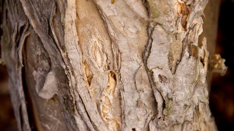 F3ndvzjc7iixum Listen to 3cr 855 am internet radio online. https www 3cr org au