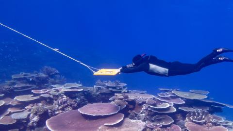 A researcher monitors coral cover in the Great Barrier Reef