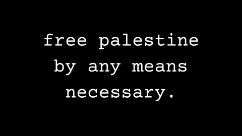 Free Palestine by any means necessary.