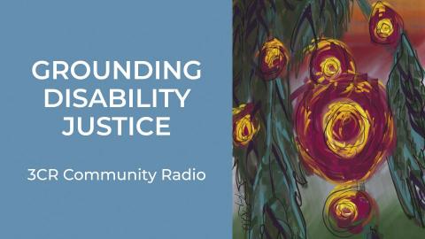 A digital artwork that features large, circular dark pink blooms. They appear hanging alongside long, green and blue foliage against a sunset coloured sky. The text is as follows: Grounding Disability Justice 3CR Community Radio. 