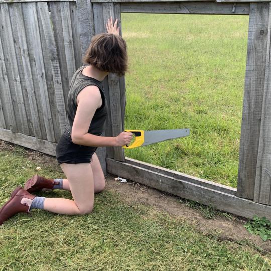 Kill Your Lawn and Kick Your Fence
