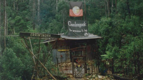 GECO - 30 Years Fighting for Forests | 3CR Community Radio