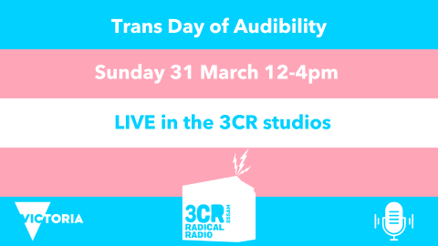 Trans Day of Audibility 2024