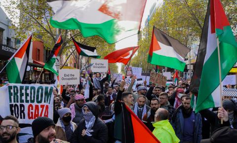 Reproductive Rights Palestine Sign Webinar on reproductive justice, Palestinian resistance, Desis For Yes ...