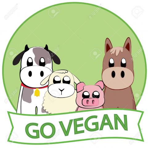 Practical Advice On Vegan Living 3cr Community Radio