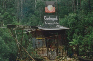 Forest protests at Goolengook, East Gippsland - Tony Hastings