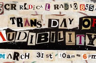Trans Day of Audibility 2026